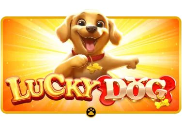 luckkg Sportsbook VIP Bonus Cashback အားကစားလောင်းကစား ဝန်ဆောင်မှု